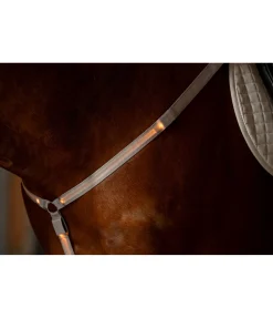 STEEDS Collier de chasse LED Loom brume Hot
