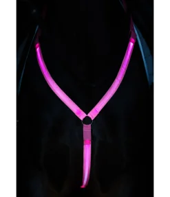 STEEDS Collier de chasse LED Loom pink New