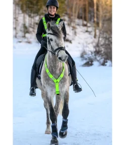 STEEDS Collier de chasse réfléchissant Stripes jaune Sale