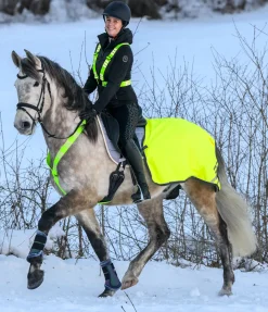 STEEDS Collier de chasse réfléchissant Stripes jaune Sale