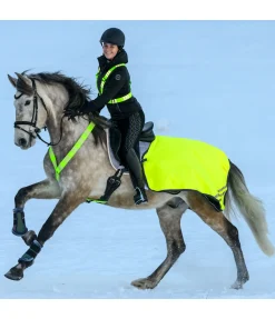 STEEDS Collier de chasse réfléchissant Stripes jaune Sale