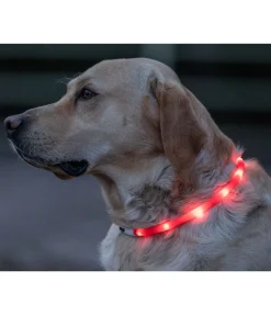 STEEDS Collier lumineux-LED rouge Best