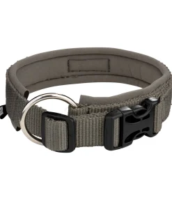 sugar dog Collier pour chien Becks olive Hot