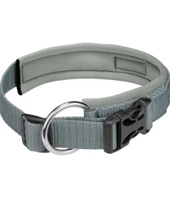 sugar dog Collier pour chien Becks matcha foncé Best
