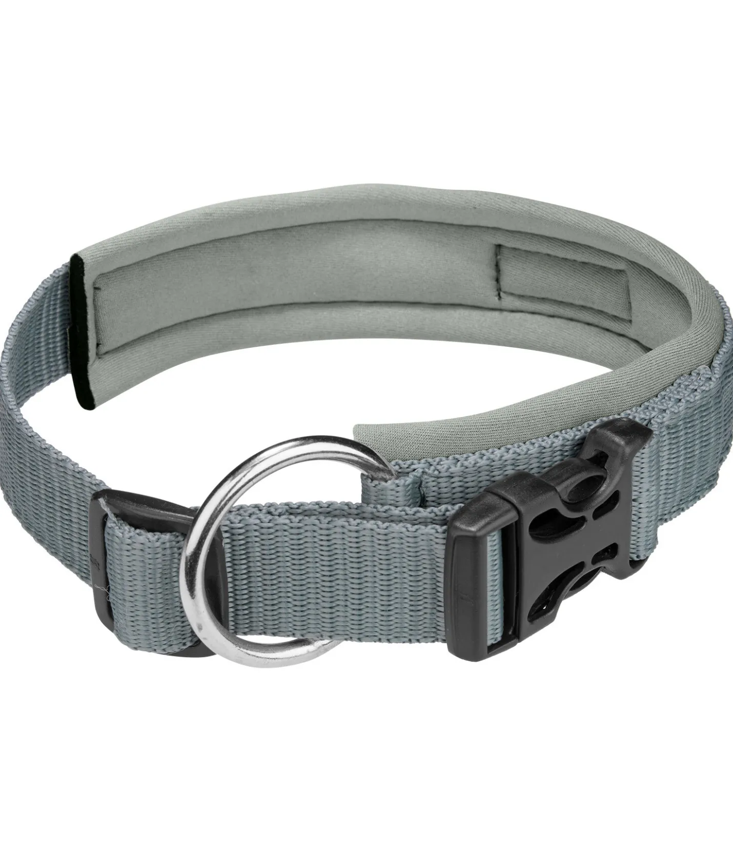 sugar dog Collier pour chien Becks matcha foncé Best