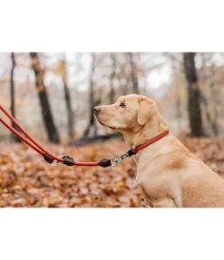sugar dog Collier pour chien Rope terre cuite Discount