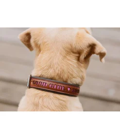 sugar dog Collier pour chien en cuir Good Dog rose-fuchsia Clearance