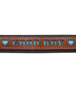 sugar dog Collier pour chien en cuir Good Dog turquoise Best