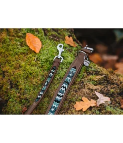 sugar dog Collier pour chien en cuir Nashville marron foncé Best