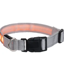 STEEDS Collier pour chien LED Loom brume New