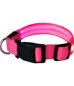 sugar dog Collier pour chien LED Loom pink Hot