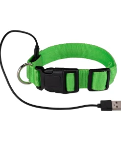 sugar dog Collier pour chien LED Loom vert