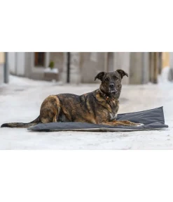 Felix Bühler Coussin thermique pour chien Ceramic Rehab noir Sale