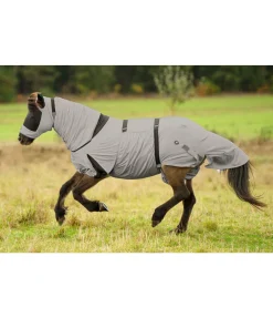 FENGUR Couverture anti-eczéma pour chevaux islandais champagne Online