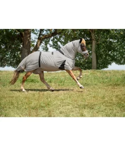 FENGUR Couverture anti-eczéma pour chevaux islandais champagne Online