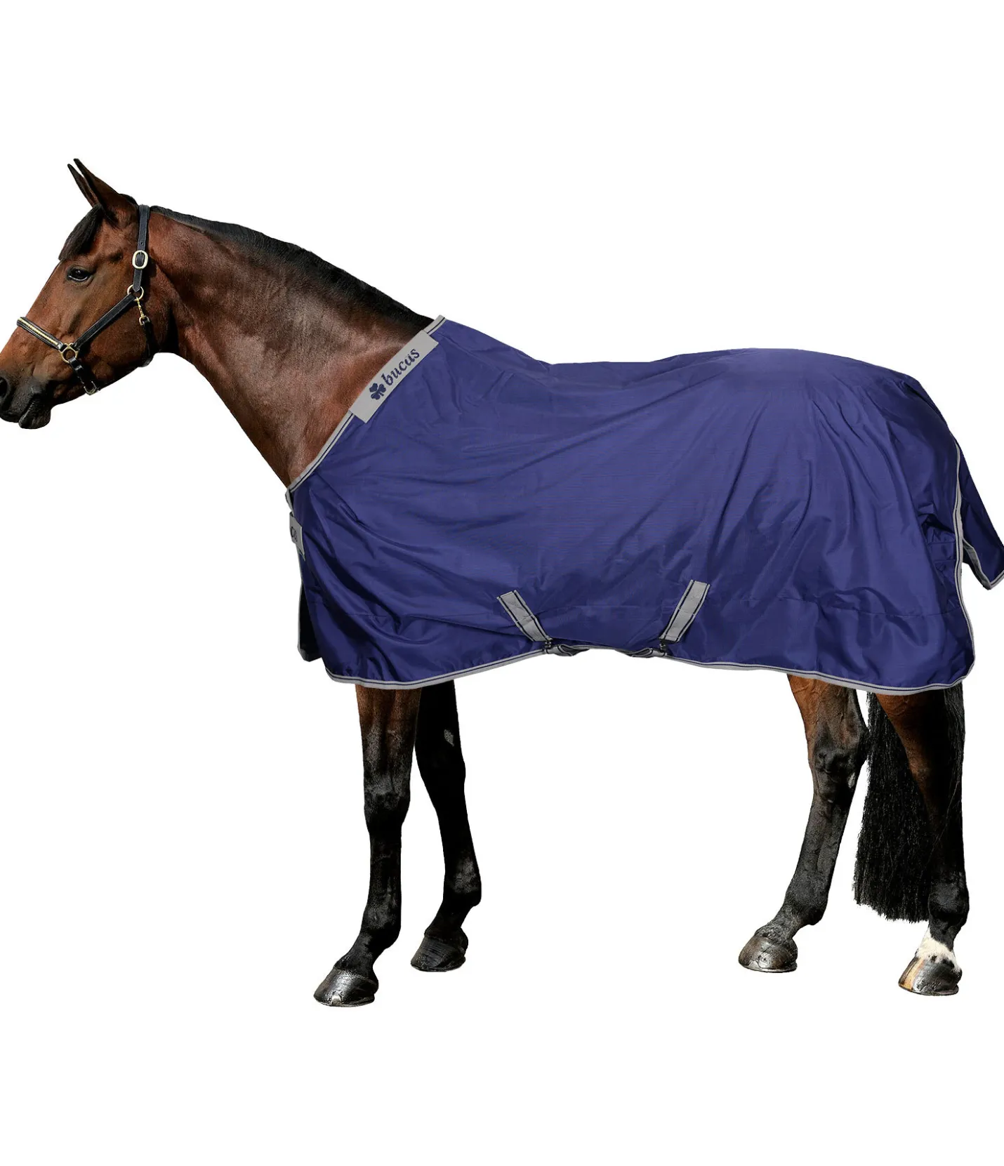 Bucas Couverture d'extérieur Atlantic Turnout avec "Dermo-Care", 50 g navy Outlet