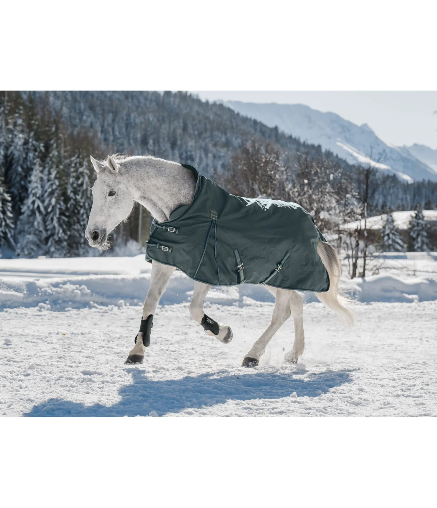 THERMO MASTER Couverture d'extérieur Highneck avec doublure polaire Jesco II, 200 g thé vert Online