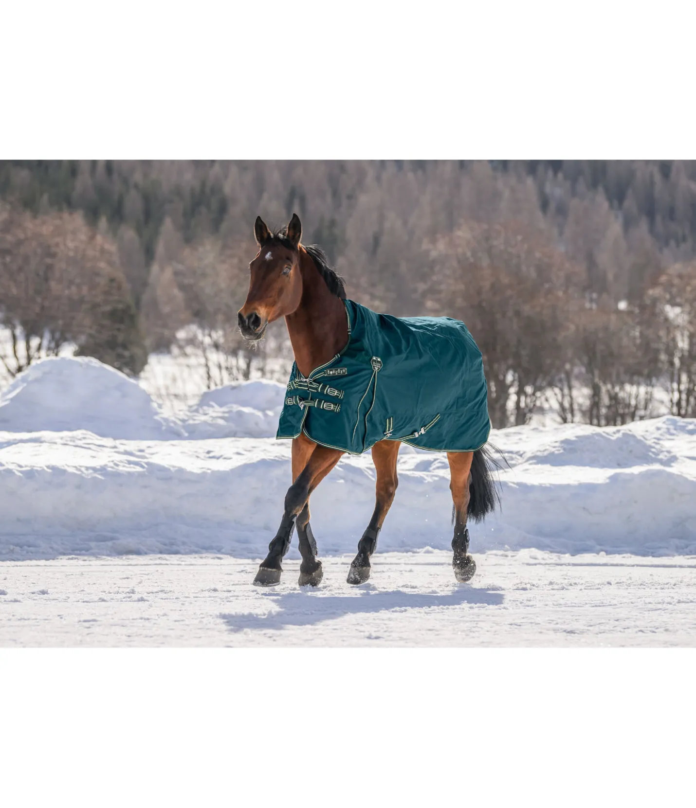 Felix Bühler Couverture d'extérieur Highneck Perfect Fit Nylon PRO, 100 g vert tropical Discount