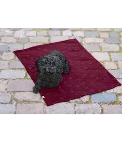 sugar dog Couverture polaire Charly acajou Hot