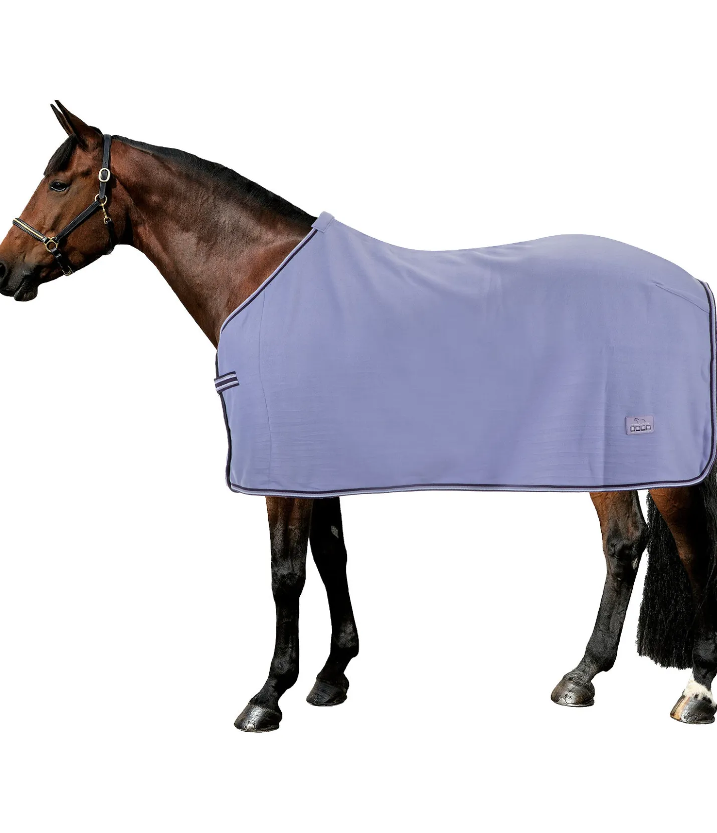 THERMO MASTER Couverture polaire Economic lavande givré Sale