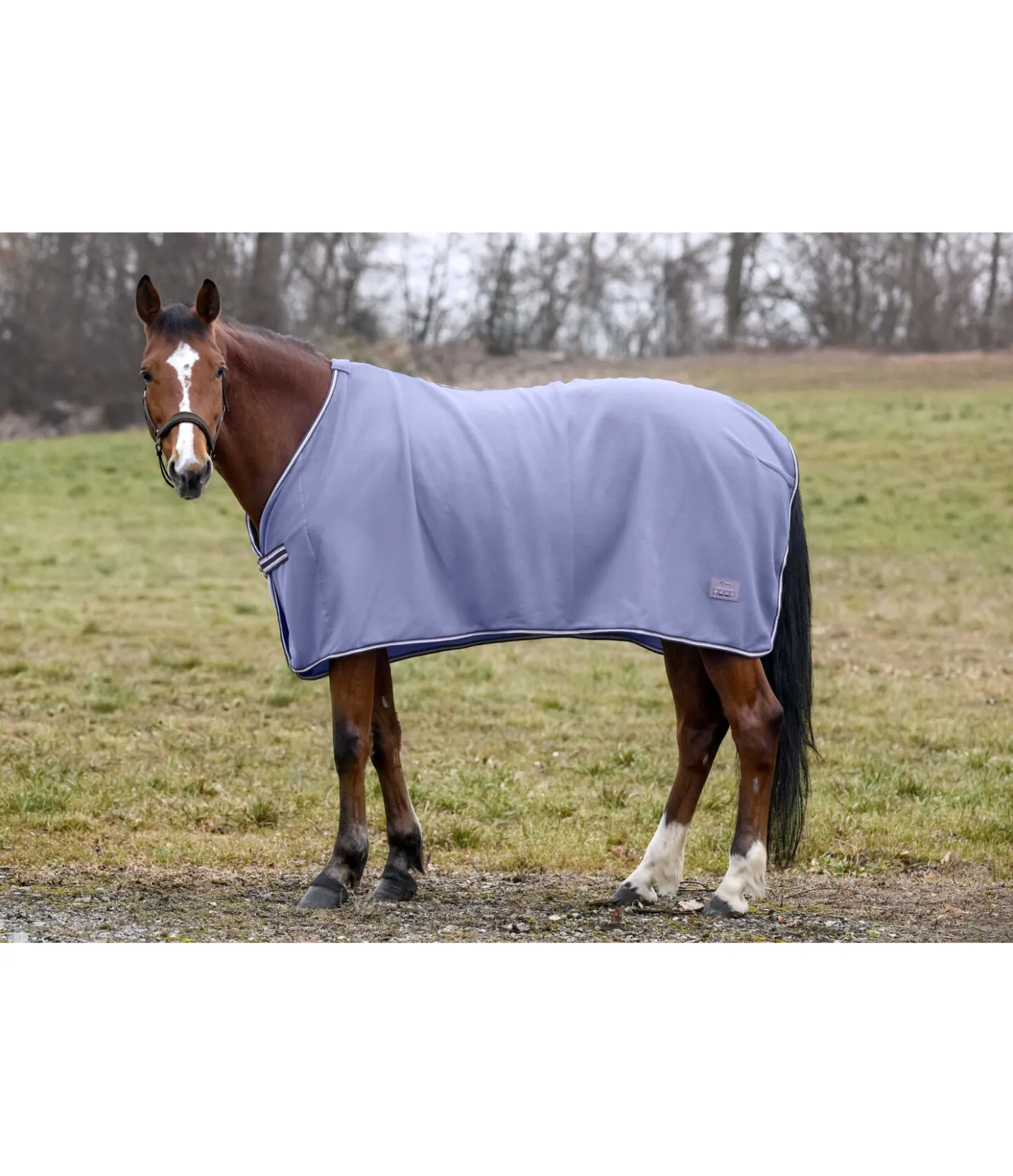 THERMO MASTER Couverture polaire Economic lavande givré Sale