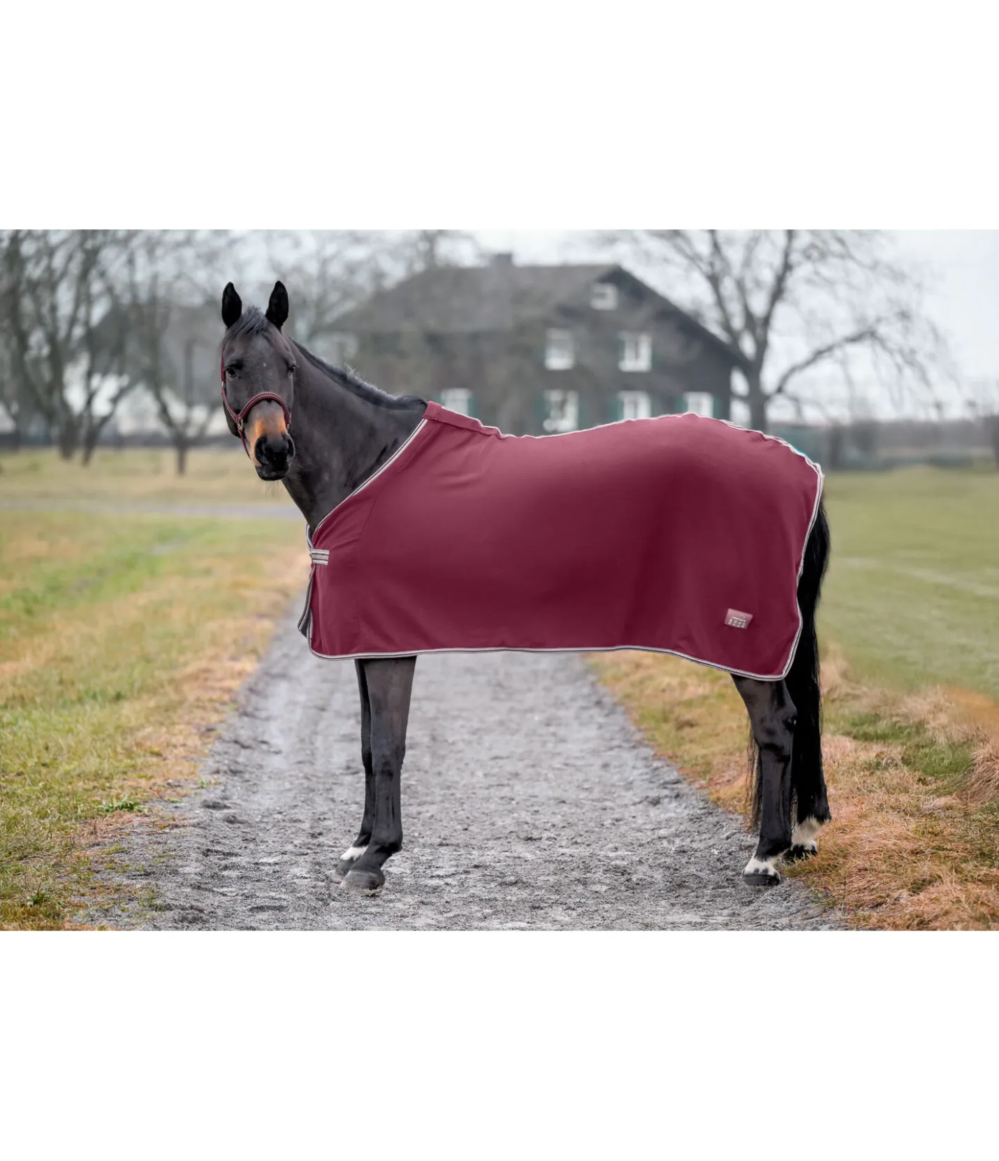 THERMO MASTER Couverture polaire Economic acajou Discount