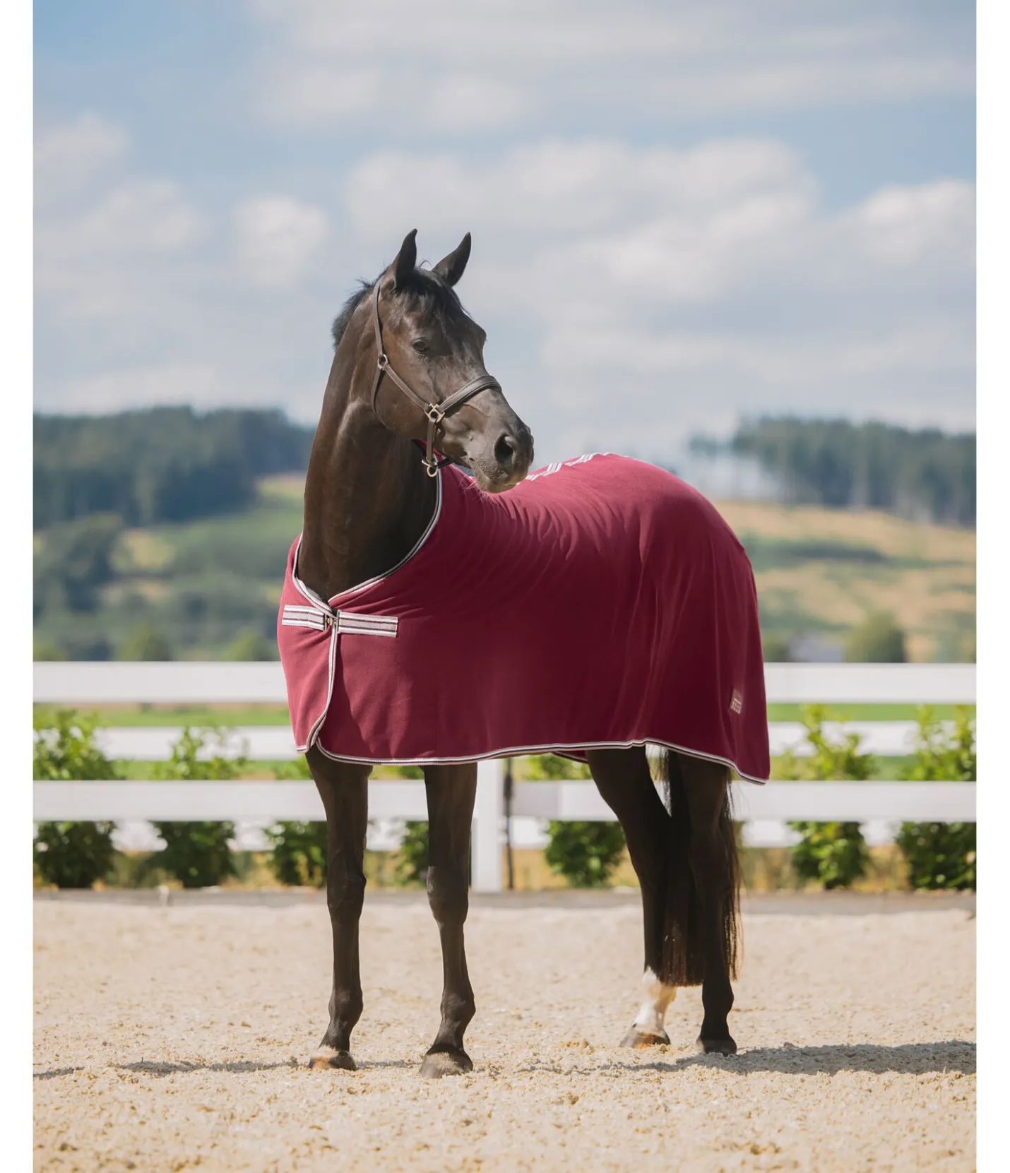 THERMO MASTER Couverture polaire Economic acajou Discount
