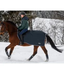 THERMO MASTER Couvre-reins imperméable Kaleo, 50 g navy Online
