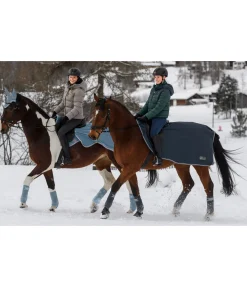 THERMO MASTER Couvre-reins imperméable Kaleo, 50 g navy Online