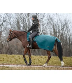 THERMO MASTER Couvre-reins imperméable Kaleo, 50 g vert tropical Sale