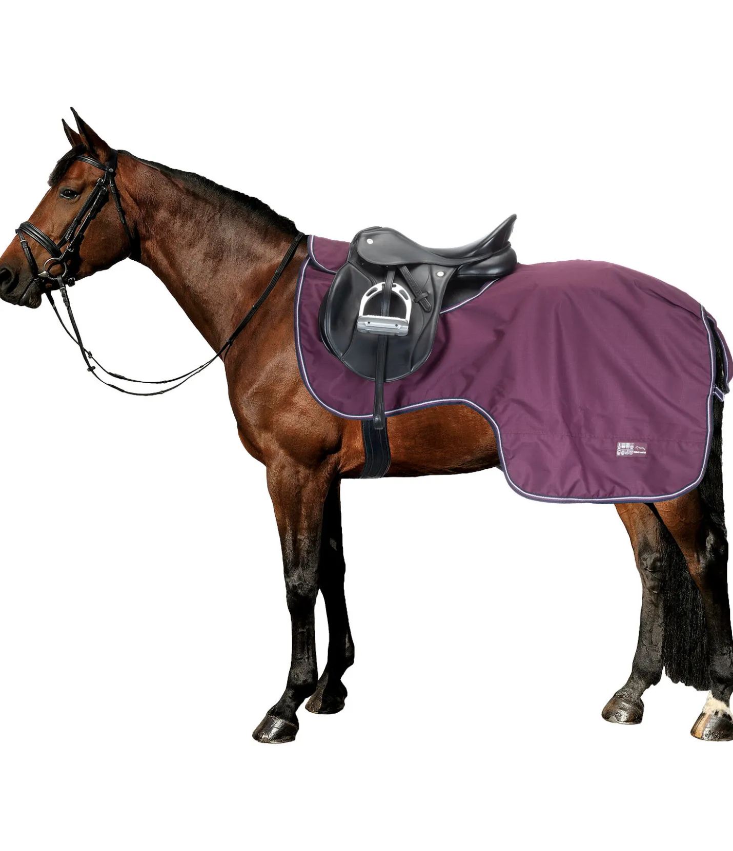 THERMO MASTER Couvre-reins imperméable Kaleo, 50 g noir-violet