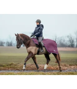 THERMO MASTER Couvre-reins imperméable Kaleo, 50 g noir-violet