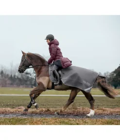 Felix Bühler Couvre-reins softshell Alecto avec couvre-cou amovible carbone Clearance