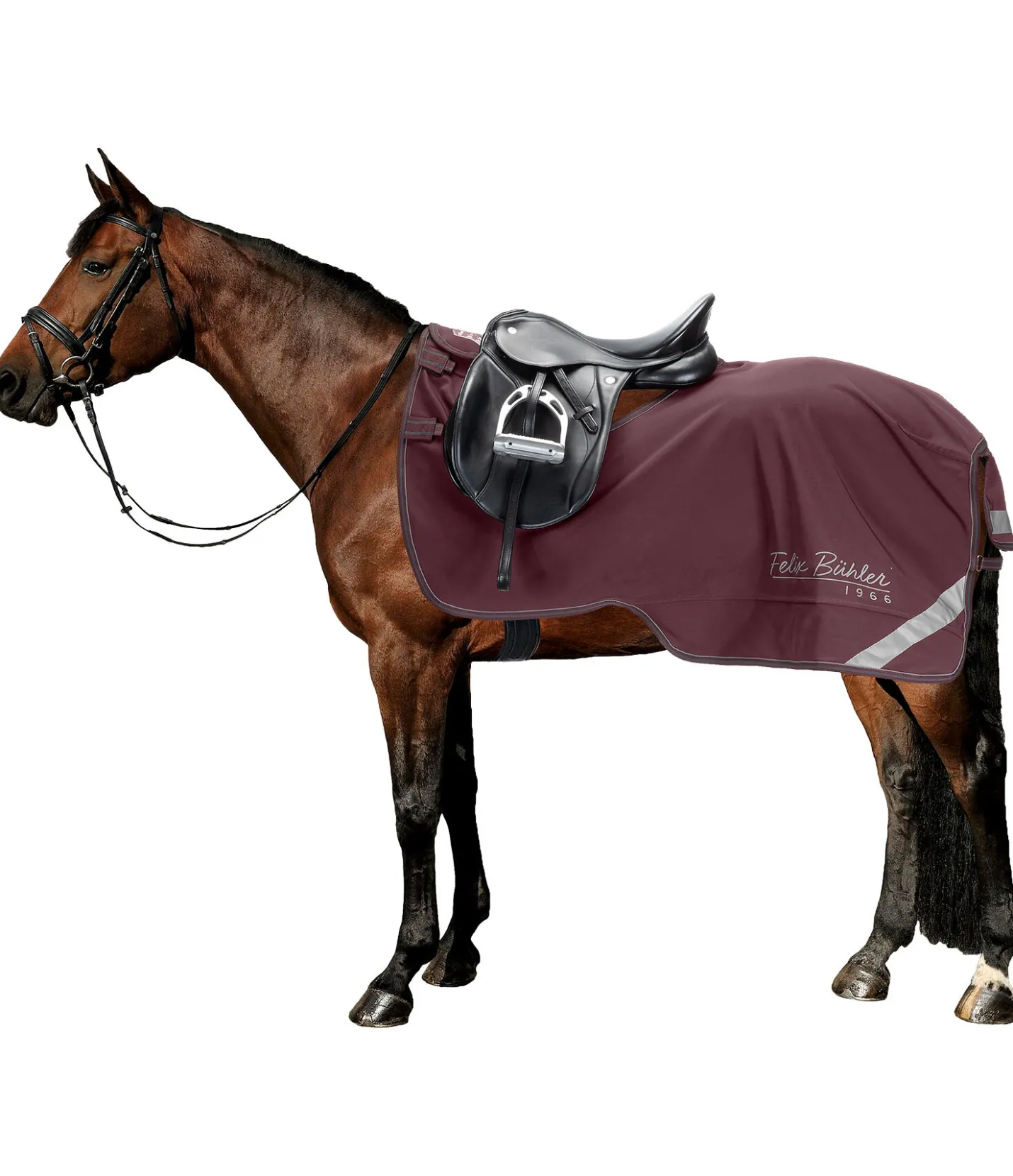 Felix Bühler Couvre-reins softshell Alecto avec couvre-cou amovible acajou Sale