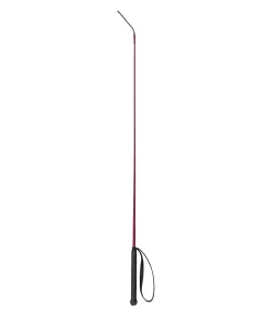 SHOWMASTER Cravache Precise baie Clearance