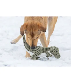 sugar dog Dinosaure en peluche pour chien Rexy vert Sale