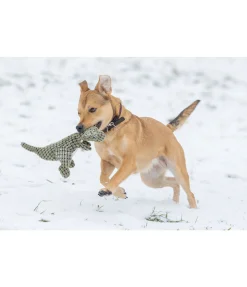 sugar dog Dinosaure en peluche pour chien Rexy vert Sale