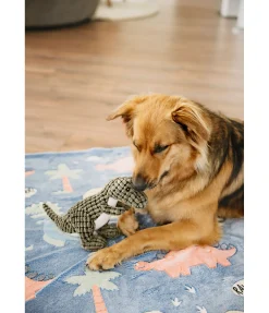 sugar dog Dinosaure en peluche pour chien Rexy vert Sale
