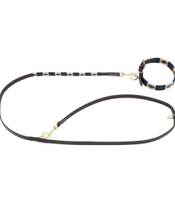 sugar dog Ensemble collier et laisse en cuir pour chien Polo Sports brun /doré Outlet