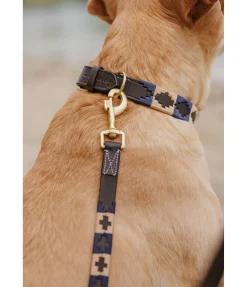 sugar dog Ensemble collier et laisse en cuir pour chien Polo Sports brun /doré Outlet