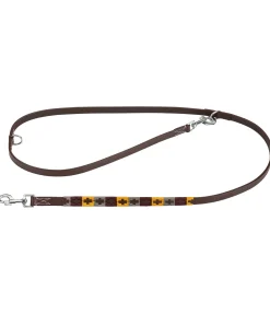 sugar dog Ensemble collier et laisse en cuir pour chien Polo Sports brun Best