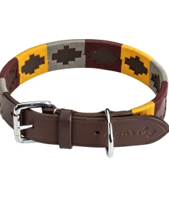 sugar dog Ensemble collier et laisse en cuir pour chien Polo Sports brun Best