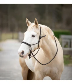 STONEDEEK Ensemble licol à noeuds All-in-One brun Best