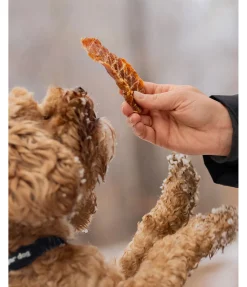sugar dog Filets de dinde Online
