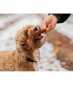 sugar dog Filets de dinde Online