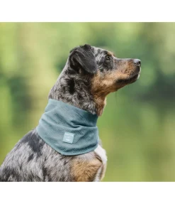 sugar dog Foulard pour chien Cooling bleu atlantique Sale