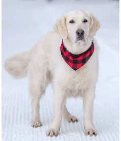 sugar dog Foulard pour chien Henry rouge Hot
