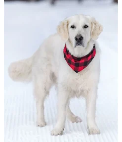 sugar dog Foulard pour chien Henry rouge Hot