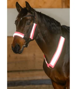 STEEDS Fourreaux réfléchissants pour bridon pink Online