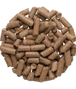 Original Landmühle Friandises à la pomme Best
